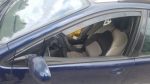 Ανεμοθραύστες για Citroen C5 (2000-2008) 5 πορτο - 4 τμχ. εμπρός και πίσω - Image 2