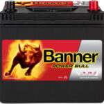 BANNER P6068 60AH 510A